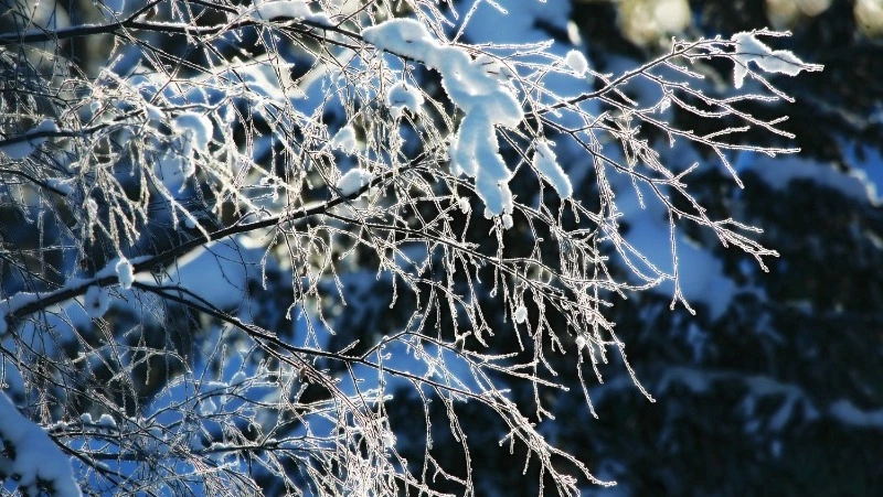 Церковный праздник 8 декабря 2024: что нельзя делать в этот день, приметы
