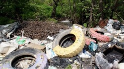 До конца мая мусор сахалинцев вывезут на свалку бесплатно