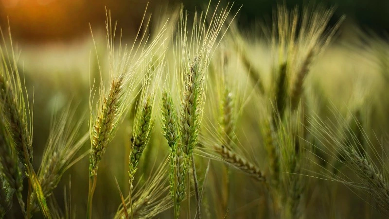 Церковный праздник 16 июня 2023: что нельзя делать в этот день, приметы