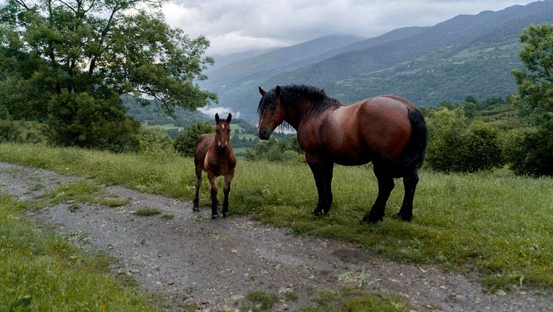 Церковный праздник 31 августа 2024: что нельзя делать в этот день, приметы