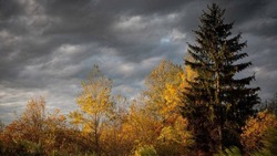 Прогноз погоды на Сахалине и Курилах 2 ноября: умеренный дождь и ветер с севера 