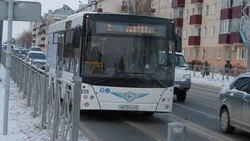 Сахалинский минтранс напомнил, где купить билет на междугородний автобус 