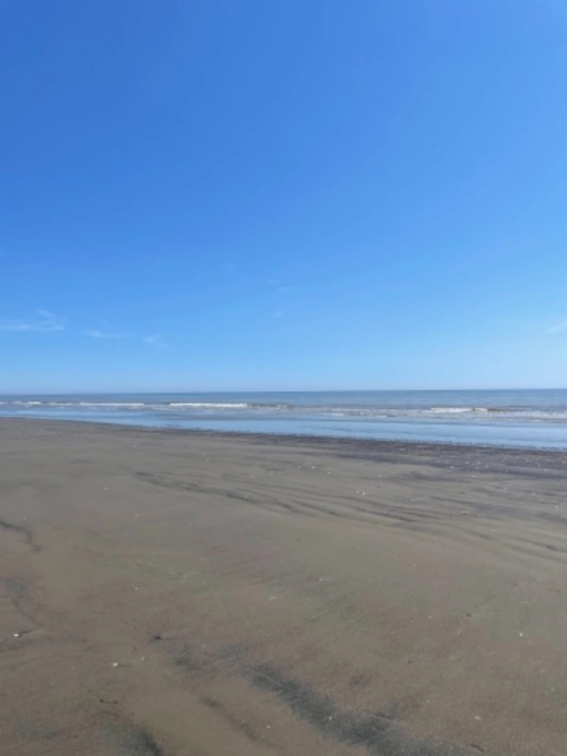 Пляж в Поронайске не могут сделать из-за стекающей в море канализации