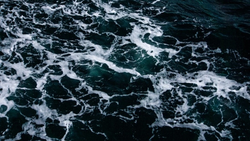 «Сахалинской энергии» дали лицензию на разработку нефтегазовых месторождений