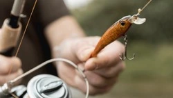 Сроки добычи корюшки и гольца определили на Сахалине и Курилах