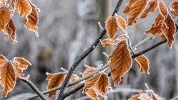 Снег и до +13 градусов ждет жителей Сахалина и Курил 19 октября