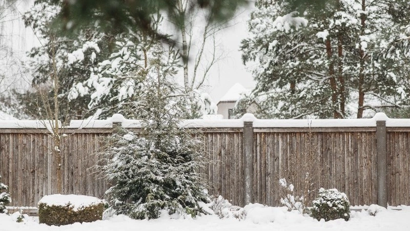 Новые климатические нормы примут в России в 2022 году