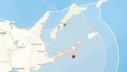 Жители Курил и Японии ощутили землетрясение