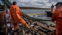 Евросоюз планирует ограничить ввоз рыбы из РФ