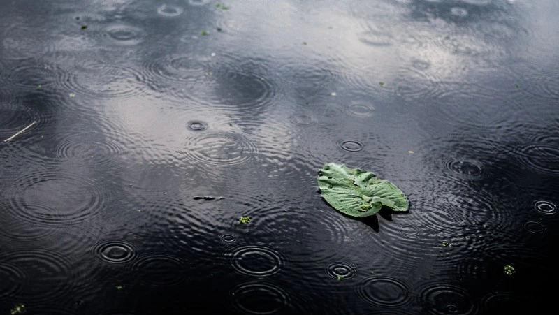 Небольшой дождь и до +19 градусов ждет жителей Сахалина и Курил 19 сентября