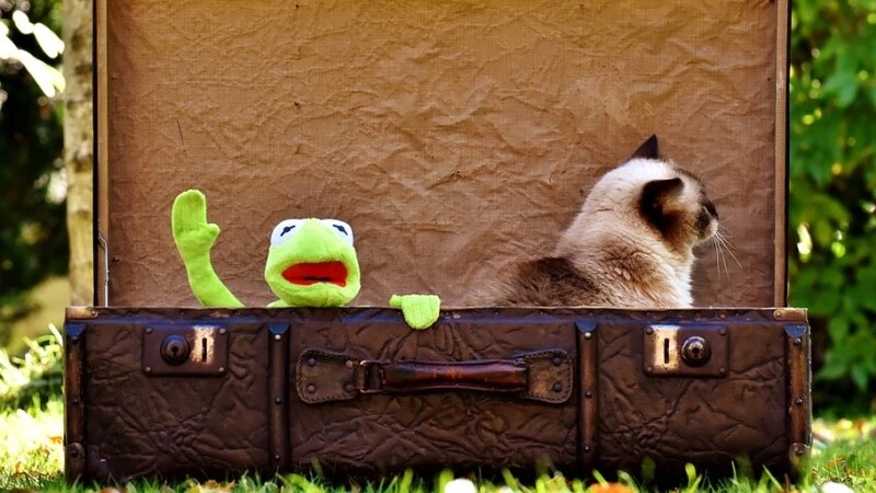 Багаж хабаровчан из-за тусклой лампочки по ошибке улетает на Сахалин