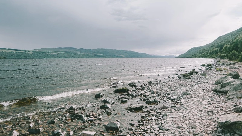 Прокуратура проверит обстоятельства смерти 11-летней девочки