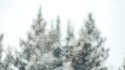 Погода в Южно-Сахалинске 9 января: переменная облачность и небольшой снег