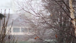 Дожди на Сахалине и усиление ветра на Курилах спрогнозировали синоптики