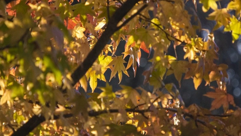 Церковный праздник 4 октября 2024: что нельзя делать в этот день, приметы