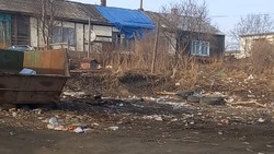 Жители Корсакова пожаловались на свалку и бродячих собак возле мусорных контейнеров