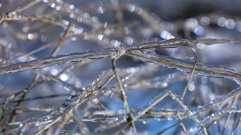 Сильный ветер и осадки спрогнозировали в Южно-Сахалинске 11 апреля 