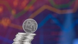 Большинство жителей Южно-Сахалинска не готовы получать зарплату в цифровых рублях