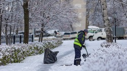 Снег с улиц Южно-Сахалинска уберут 96 единиц спецтехники днем 14 ноября
