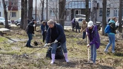 Трудовые коллективы начнут уборку в Южно-Сахалинске после зимы раньше обычного