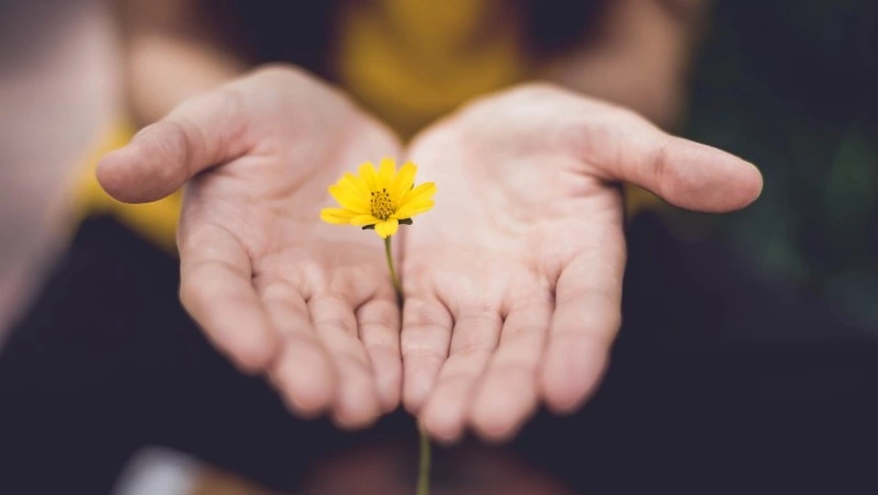 Жители Сахалина отправят гуманитарный груз пострадавшим от наводнения приморцам