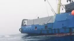 Судно с 500 кг креветки, арендованное сахалинцами, задержали в Приморье