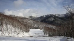 Плюсовые температуры придут в Сахалинскую область 14 марта