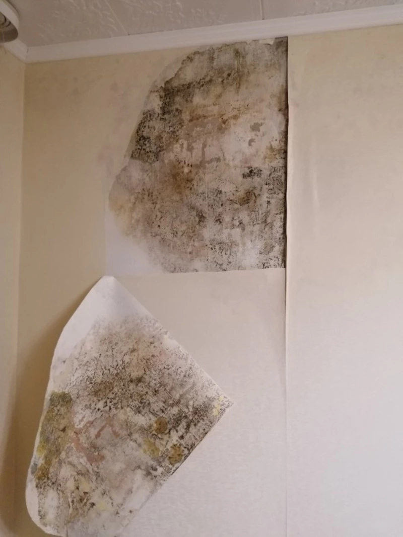 Житель Невельска хочет сбежать из квартиры, в которой протекают стены