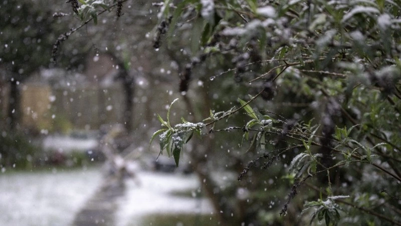 Дождь со снегом спрогнозировали в Южно-Сахалинске 5 апреля 