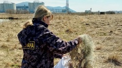 Сахалинских рыбаков оштрафовали за 28 нарушений за неделю