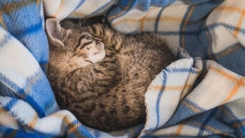 Для присоединения теплового пункта частично отключат отопление в Южно-Сахалинске 15 февраля