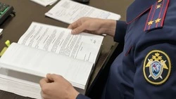 Следователи завели уголовное дело после отравления детей в детсадах в Дальнем 