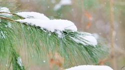 Снег и умеренный ветер ожидаются в Сахалинской области 30 января