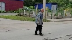 Человека-голубя обнаружили возле магазина в Синегорске