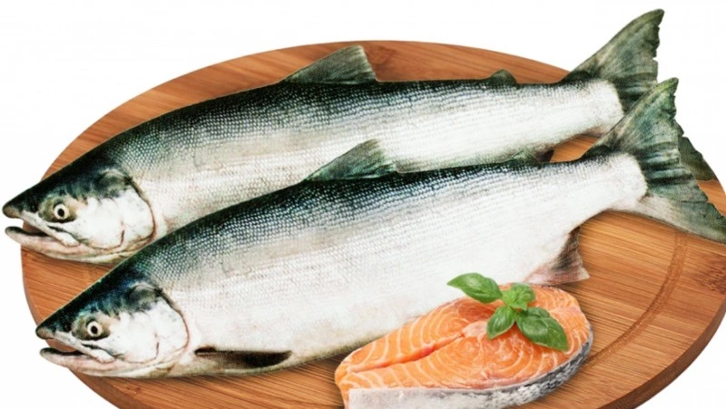 Сахалинским рыбакам-любителям напомнили правила добычи горбуши