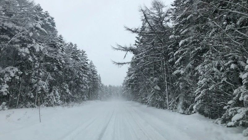 Народные приметы на 1 декабря 2023: что нельзя делать в этот день