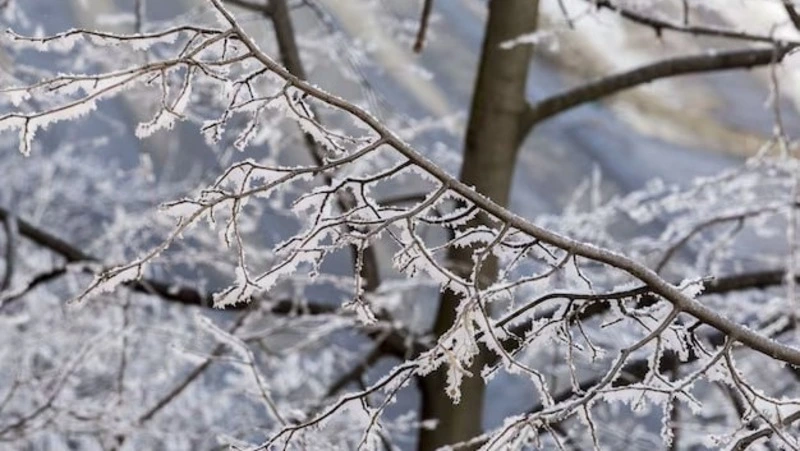 Снег, порывистый ветер и потепление до +1 градуса прогнозируют в Сахалинской области