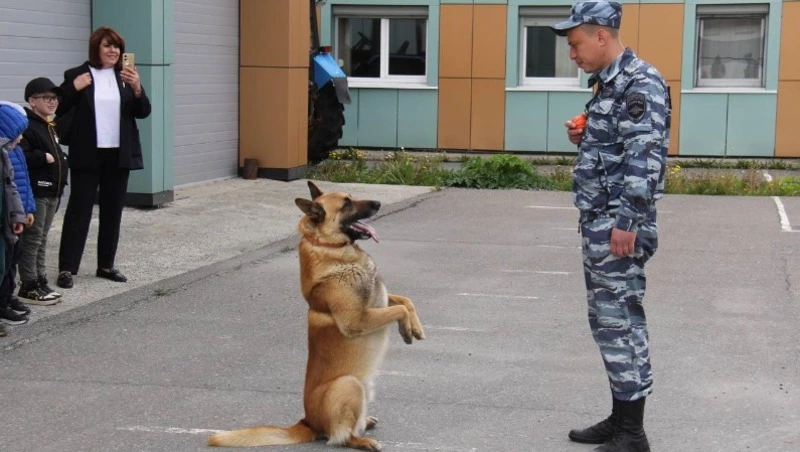 21 июня 2024 — Международный день йоги,  День кинологических подразделений МВД России и День селфи