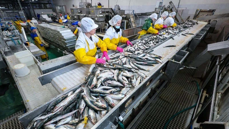 «Гидрострой» вложит почти 5,5 млрд рублей в строительство комплекса по переработке рыбы на Сахалине