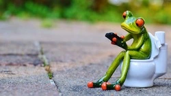 Для развития туризма на Сахалине построят еще 10 туалетов