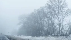 Метель накроет Северо-Курильск вечером 4 декабря