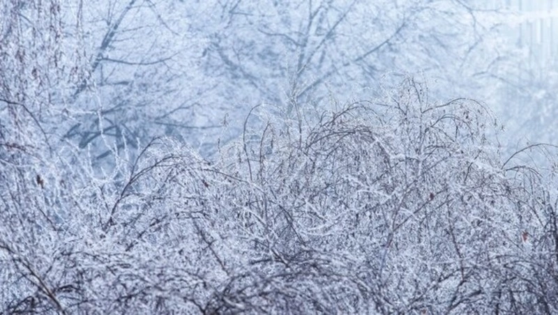 Снег и порывы ветра 25-30 м/с прогнозируют в Сахалинской области 2 марта