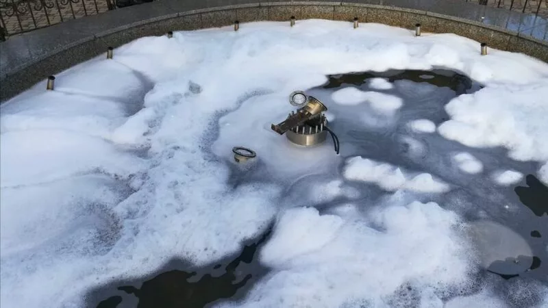 Вандалы в Охе сломали нос попугаю и взбили пену в городском фонтане