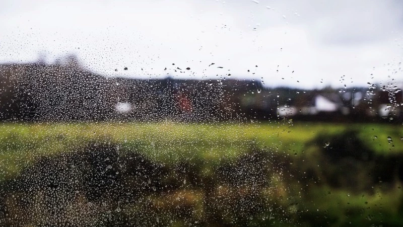 Туман и дождь ждет жителей Сахалина и Курил 8 июня