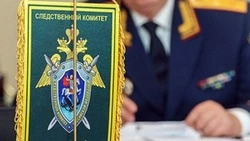 Следователи начали проверку по факту ДТП с автобусом в Березняках