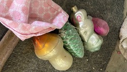 Новогодние игрушки нашли во время сортировки мусора на Сахалине