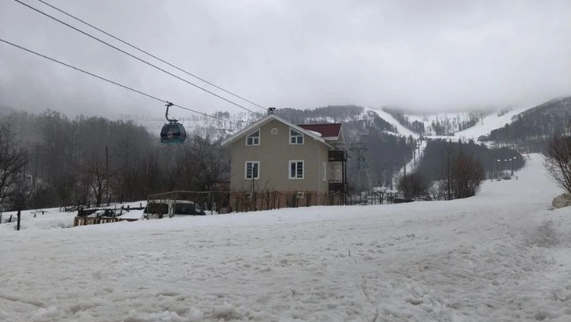 Слабая метель, ветер до 22 м/c: озвучен прогноз погоды на Сахалине на день 28 марта