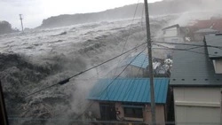 Четырнадцать лет после великого землетрясения и Фукусимы: вспоминаем мартовскую трагедию в Японии