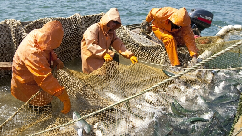 Горячий август