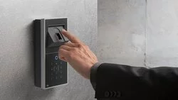 У трудовых мигрантов на Сахалине хотят снимать отпечатки пальцев